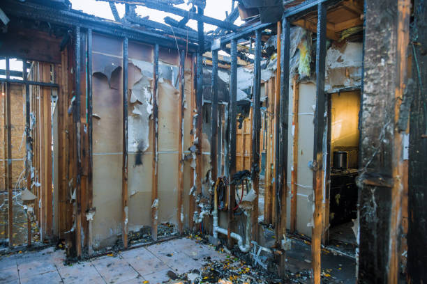 Professional Odor Removal technician working in Egan, LA